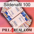 Sildenafil 100 kamagra1